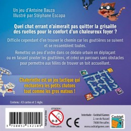 Dos de la boite Chabyrinthe